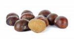 Chestnut Isolated On The White Background Stock Photo