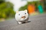 Piggy Bank Stock Photo