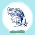 Illustration Of Betta Splendens, Siamese Fighting Fish Stock Photo