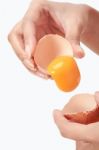 Falling Egg White Background Stock Photo