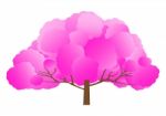 Pink Tree Stock Photo