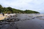 Thailand-environment-oil-pollution Stock Photo