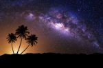 Night Scene With Milky Way And Coconut Tree Stock Photo