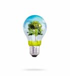 Light Bulb With Tree Inside Stock Photo