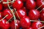 Cherries Stock Photo