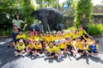 Kindergarten Students Visit The Zoo, In The Jul 15, 2016. Bangkok Thailand Stock Photo