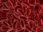 Rendered Illustration Of Many Blood Cells Stock Photo