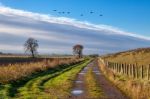 Landscape Near Ely Stock Photo