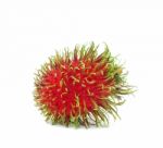 Rambutan Stock Photo