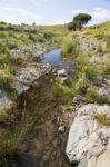 Beautiful Spring View Of A Countryside Stream Of Water Located In Portugal Stock Photo