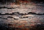 Old Grunge Wall Stock Photo