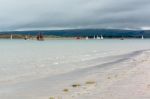 Appledore, Devon/uk - August 14 : Sailing In The Torridge And Ta Stock Photo