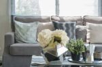 Vase Of Plant On Glass Table In Living Room Stock Photo