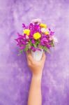 Hand Holding Bouquet Of Chrysanthemum And Orchid Flowers Isolate Stock Photo