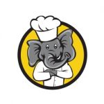 Chef Elephant Arms Crossed Circle Cartoon Stock Photo