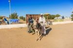 Man On The Donkey, Sudan Stock Photo