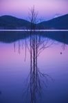 Hinze Dam At Dusk Stock Photo