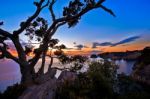 Sunrise At Te Pare Point Stock Photo