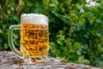 Glass Mug With Beer Standing On The Big Stone Stock Photo