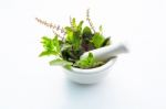 Holy Basil Leaves In Porcelain Mortar On White Wooden Background Stock Photo