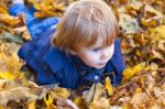 Toddler Blond Boy With Blue Eyes Lays On Bed Of Autumn Fallen Le Stock Photo