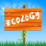 Eco Ecology Represents Earth Friendly And Conservation Stock Photo