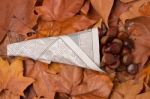 Sweet Chestnuts Wrapped In Newspaper Stock Photo