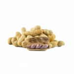 Dried Peanuts On White Background Stock Photo