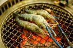 Grilling Prawn On Grill Stock Photo