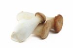 Edible Mushroom Stock Photo