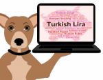 Turkish Lira Indicates Forex Trading And Coinage Stock Photo