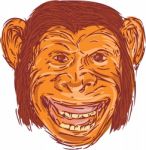 Chimpanzee Head Front Isolated Drawing Stock Photo