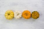 Mini Colorful Pumpkin Stock Photo