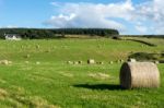 Farm Near Culloden Stock Photo