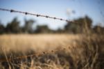 Rusted Sharp Timber And Metal Barb Wire Fence Stock Photo