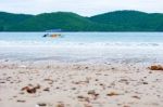 Beach Stones Background  Stock Photo