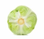 Cabbage Isolated On The White Background Stock Photo