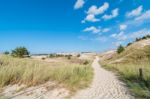 Sand Dunes And Grass Vegetation Background Stock Photo