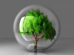 Tree In A Bubble Stock Photo