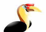 Wrinkled Hornbill Stock Photo