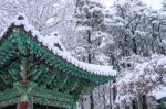 Landscape In Winter With Roof Of Gyeongbokgung And Falling Snow In Seoul,south Korea Stock Photo