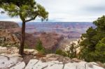 The Grand Canyon Stock Photo