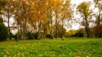 Autumn Season In Russia Moscow Stock Photo