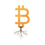 Cryptocurrency Bitcoin With Root Flat Design Icon  Illustr Stock Photo