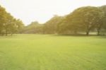 Blurred Image Of Green Park Scenery Stock Photo