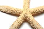 Starfish Stock Photo