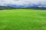 Green Lawn On Hill Stock Photo