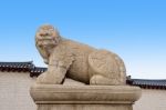 Haechi,statue Of A Mythological Lion-like Animal At Gyeongbokgung Palace,south Korea Stock Photo