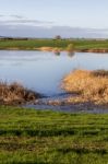 Spring Countryside Lake Landscape Stock Photo