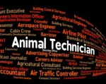 Animal Technician Represents Skilled Worker And Artisan Stock Photo